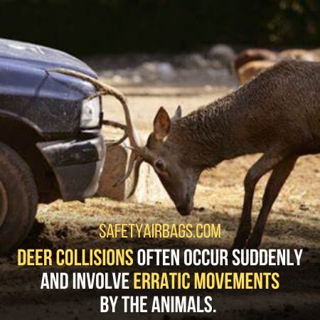 Deer collisions - should airbags deploy when you hit a deer