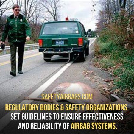 Regulatory bodies & safety organizations  - should airbags deploy when you hit a deer